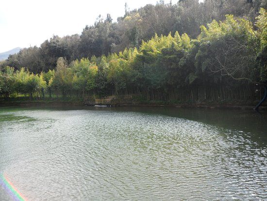 Lago Verde